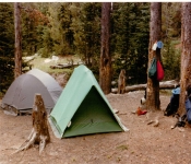 Montana1985  003
